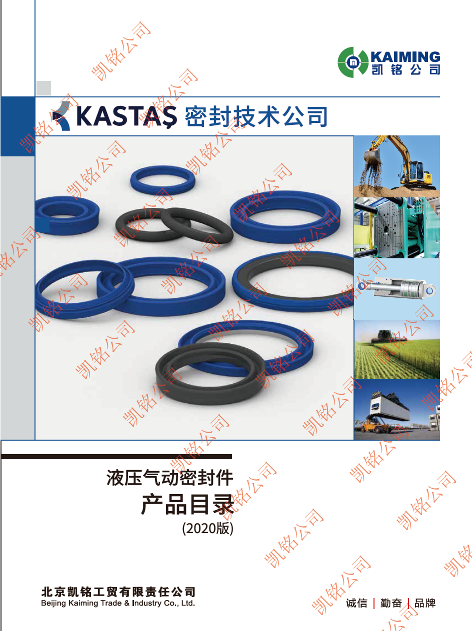 Kastas中文簡(jiǎn)介修改2019