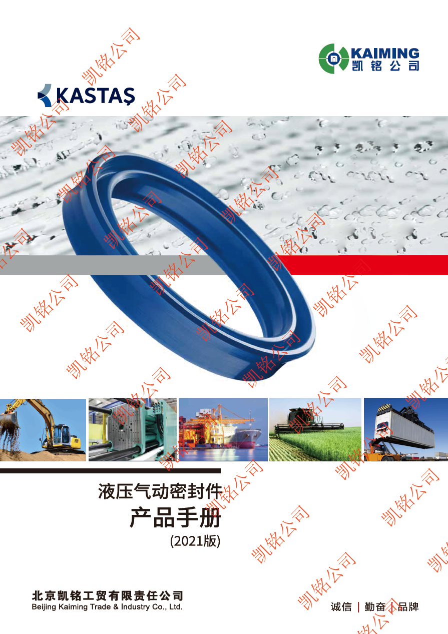 kastas液壓氣動(dòng)密封件產(chǎn)品手冊(cè)（安全）